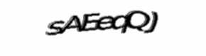 Security check image, please type the characters shown